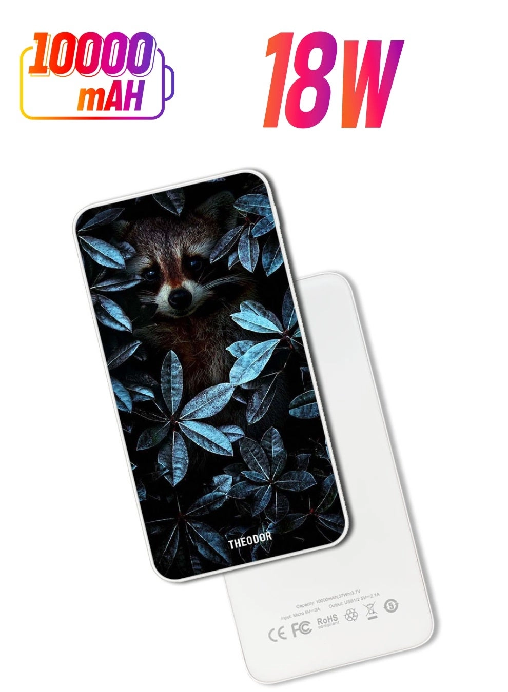 EX_PPBA006 - 10000 Watt-hour 18W PD