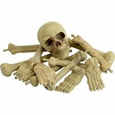 Party Zone Bag Of Bones In Net Bag