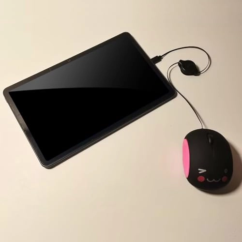 Retractable Type C - APGLSXY Ergonomic Adjustable Length