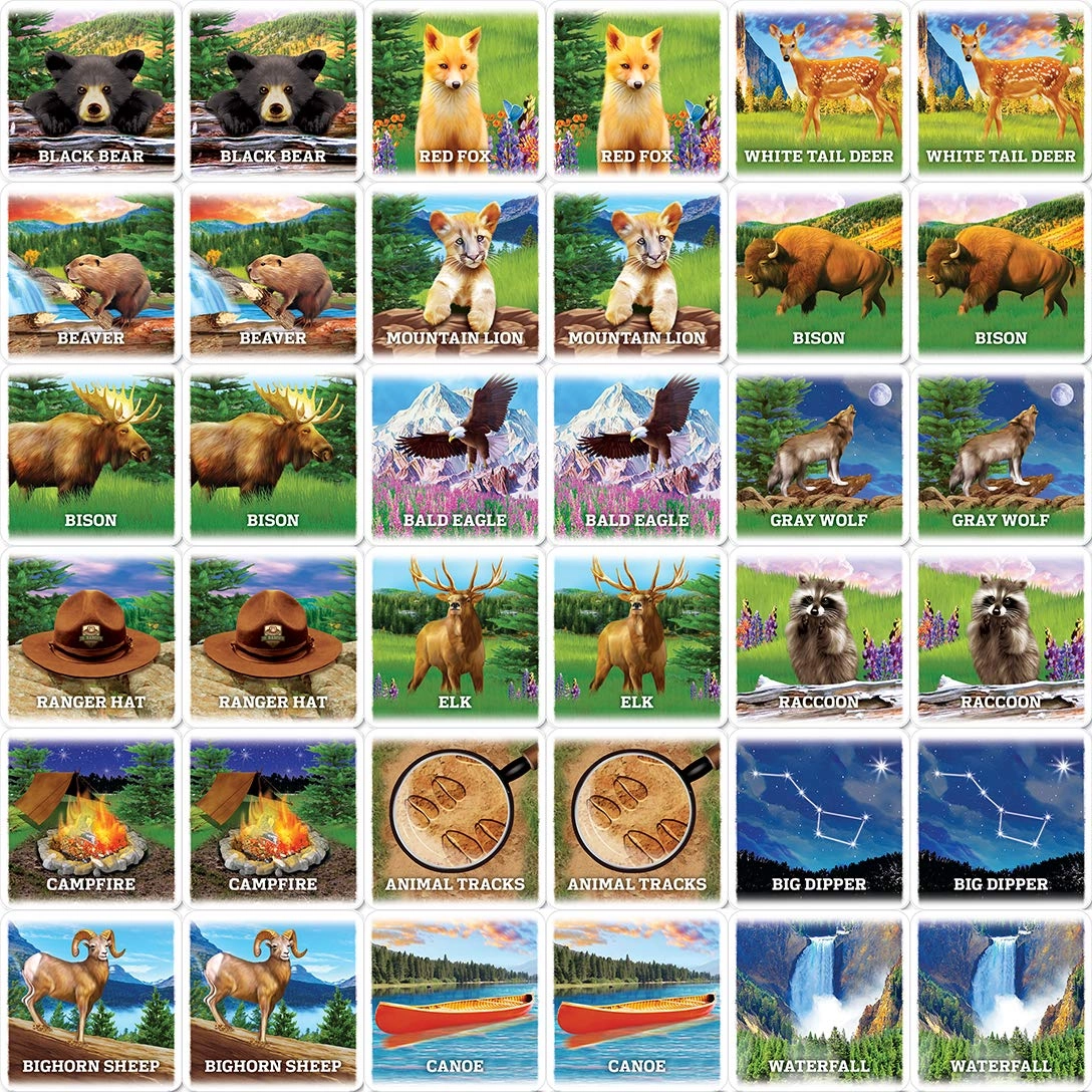 Jr Ranger - Slug Bug State-Cation - Card Game