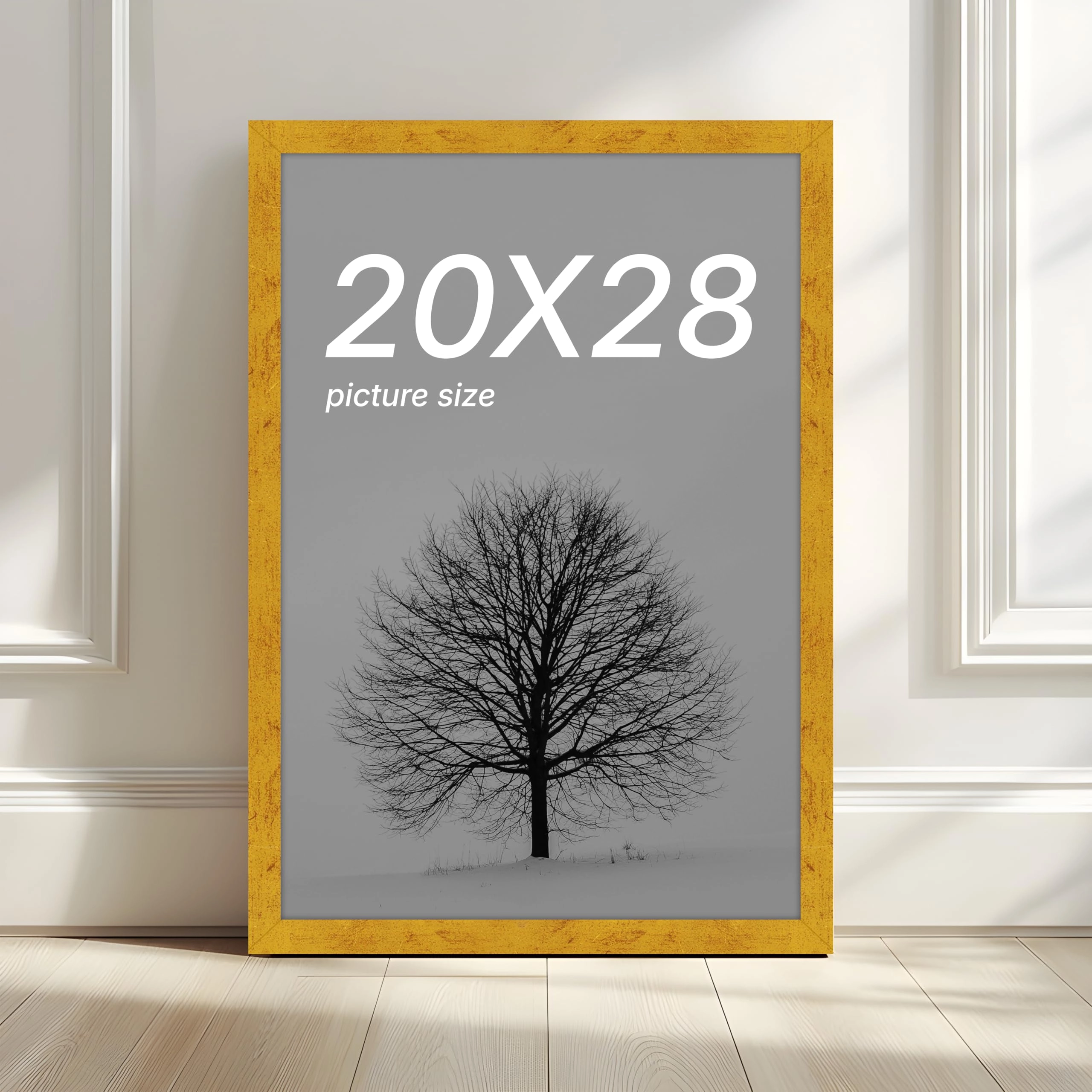 Document Frame - 20x28 Inch