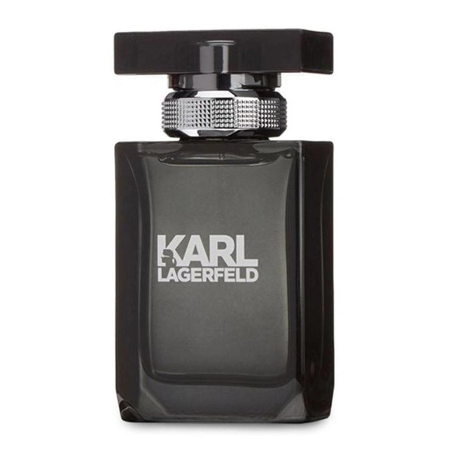 Men's Perfume Eau de Toilette 100 ml