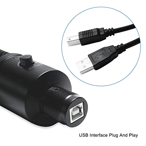 BM 800 Wireless+USB Microphone