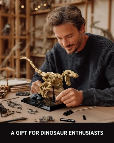 Velociraptor Fossil Model - Dinosaur Skeleton Display Base