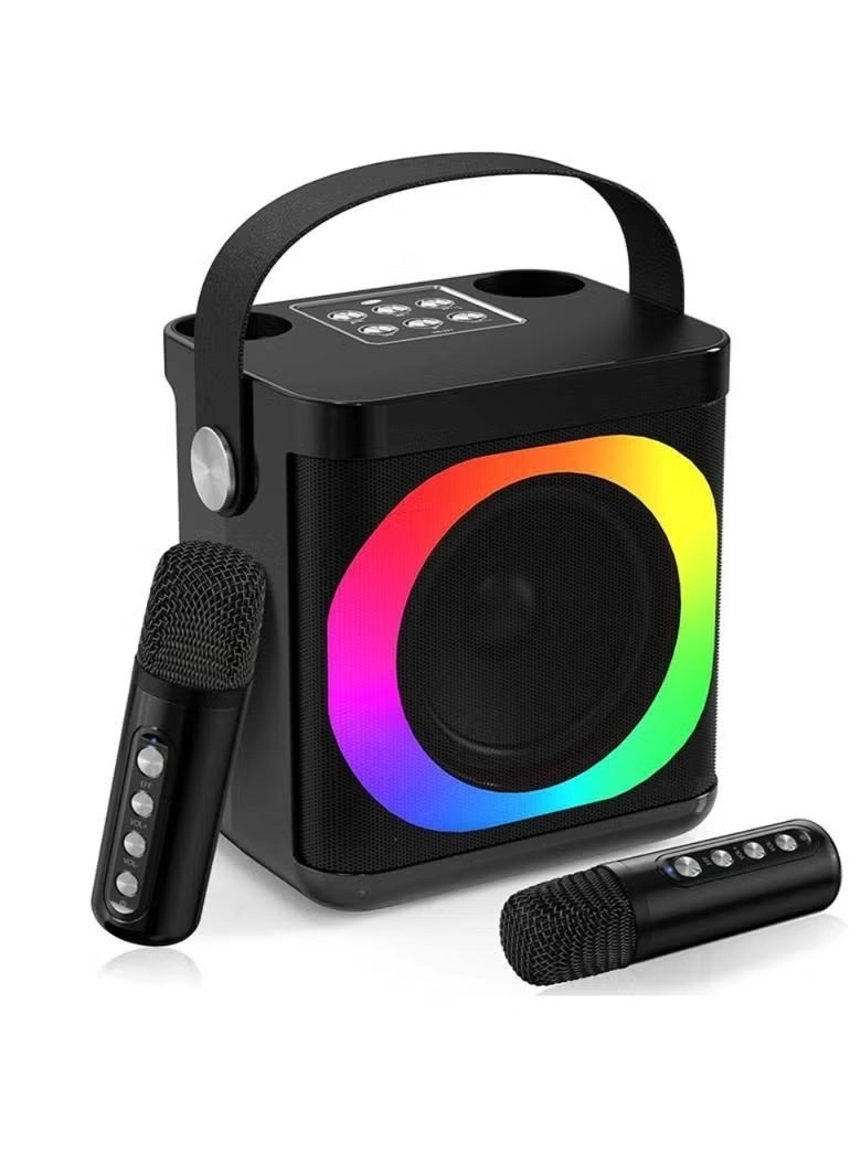 YS307 - 2 Microphones