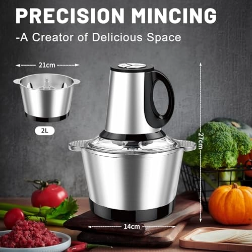 600w chopper - 230 Volts (AC)