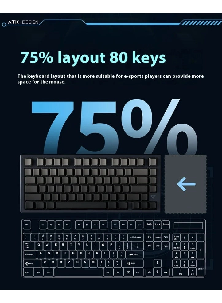 V75X - Wired/Wireless