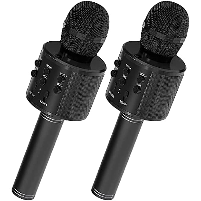 rayihni Karaoke Microphone Pack