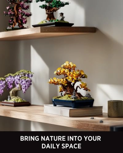 Ginkgo Bonsai Tree