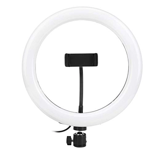 Ring Fill Light