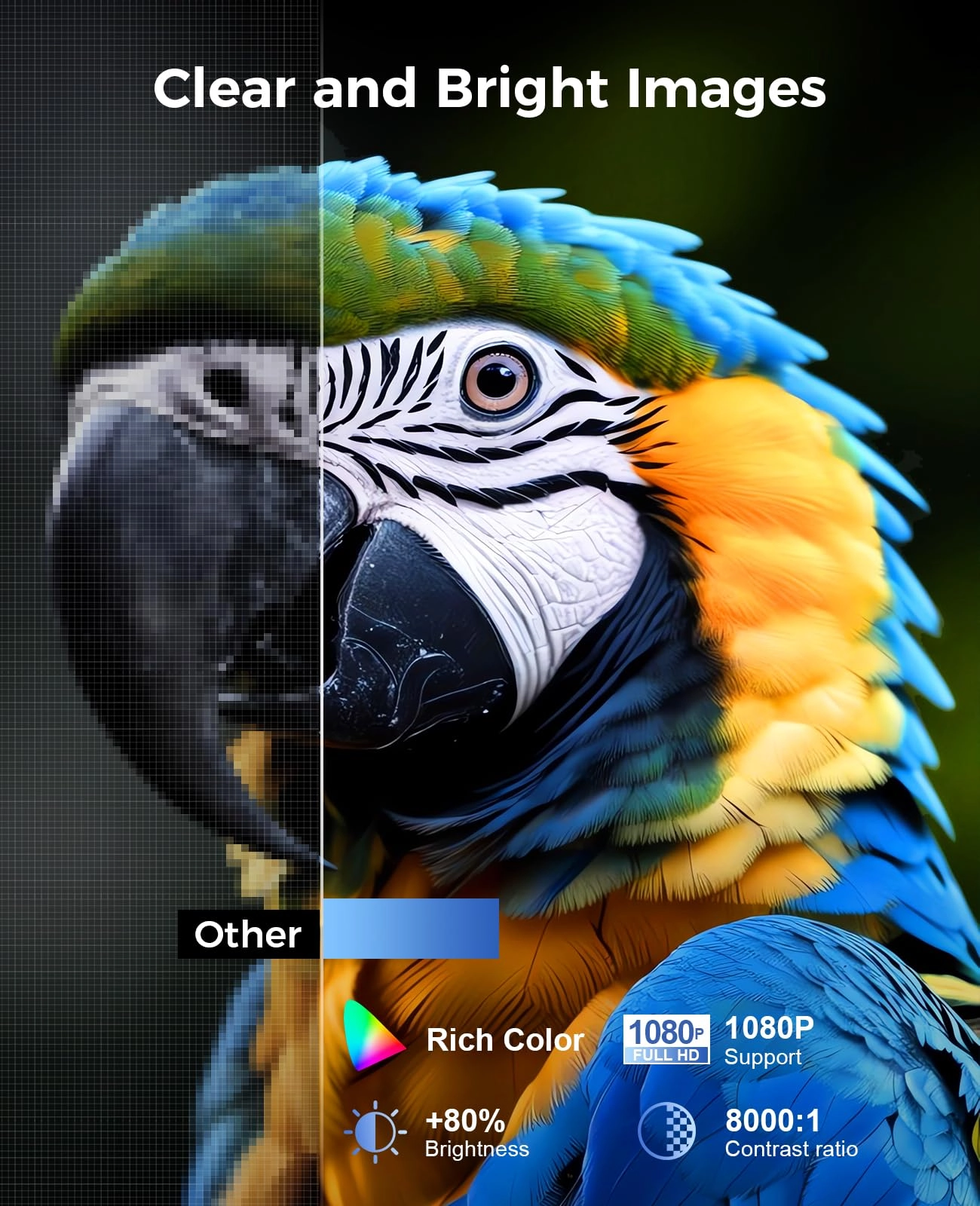 BL128 8000L 1920 x 1080 Pixels