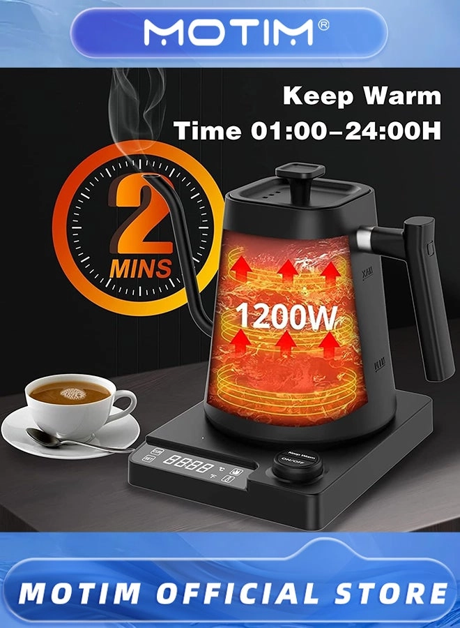 Temperature Control Electric Kettle