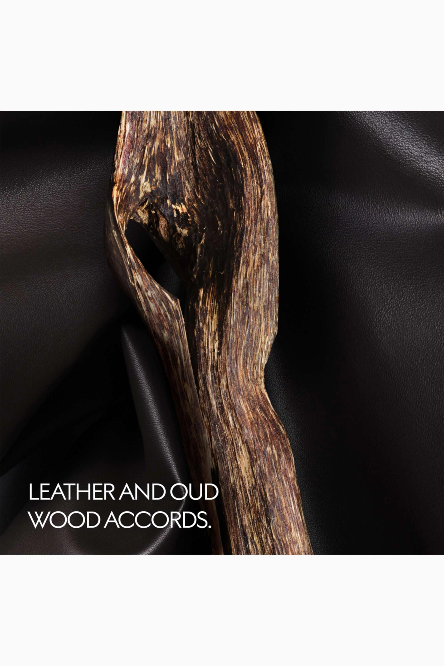 The Voice Of The Snake Eau de Parfum 100ml