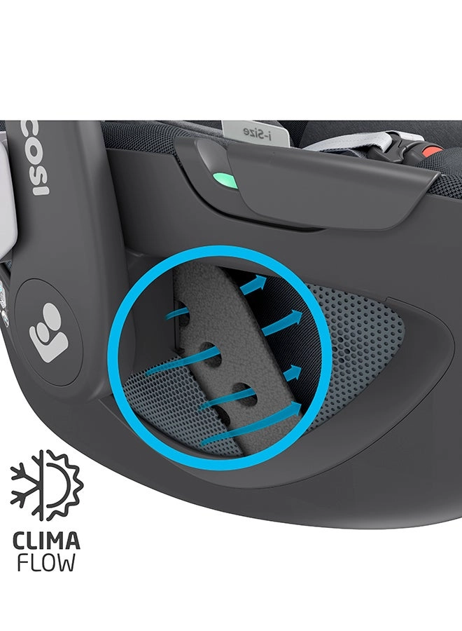 Pebble 360 - Group 0+ Seat Belt