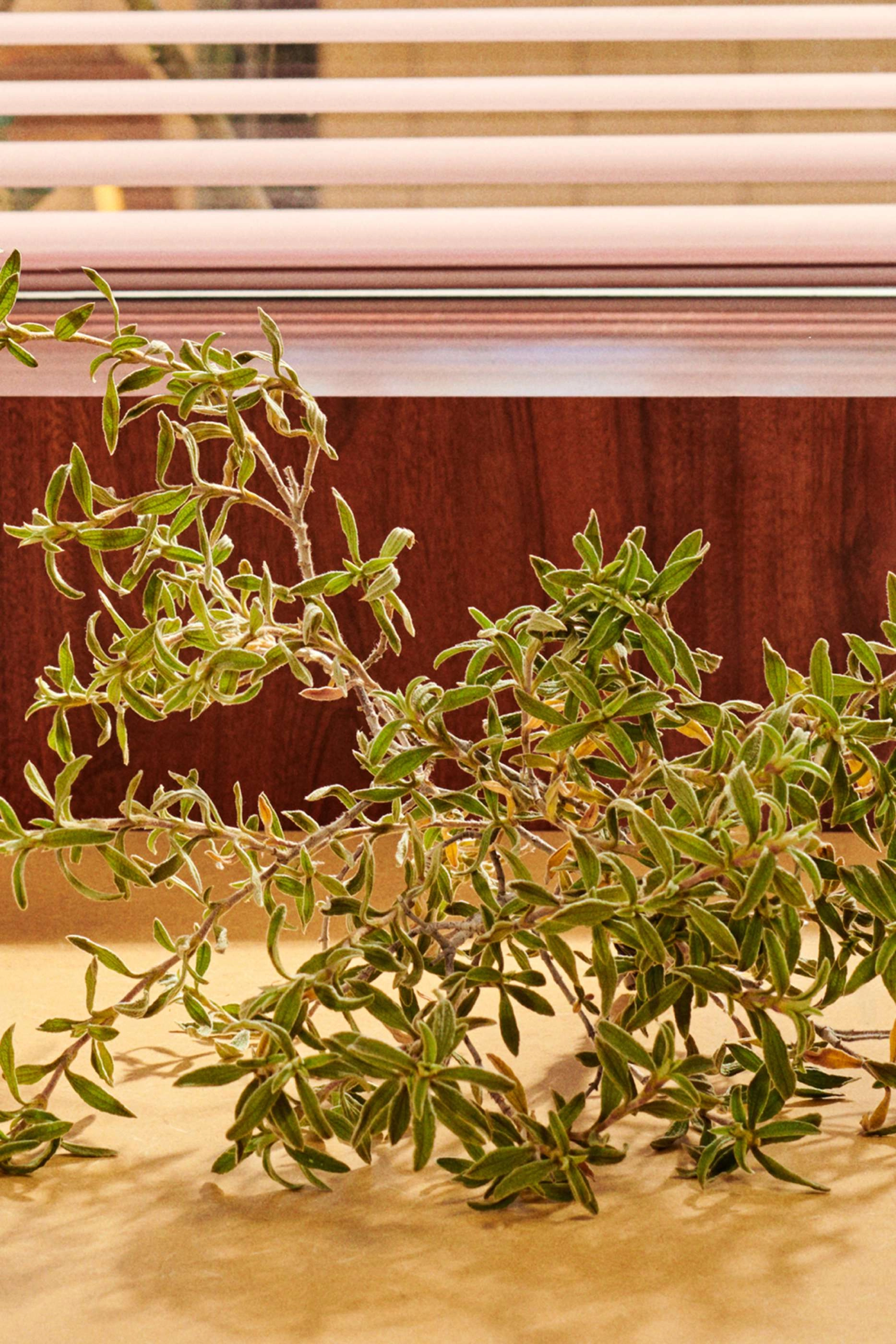 Guilty Parfum Pour Homme - Eau de Parfum 90ml