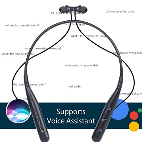 Zeb-Symphony Wireless Earbud