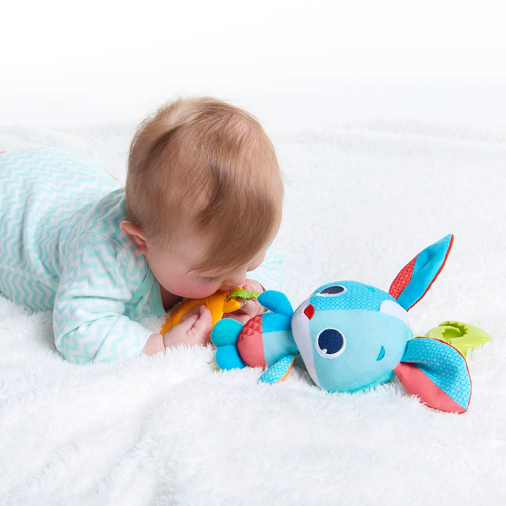 Thomas The Rabbit Jitter - Suitable for Newborn up to 24 months