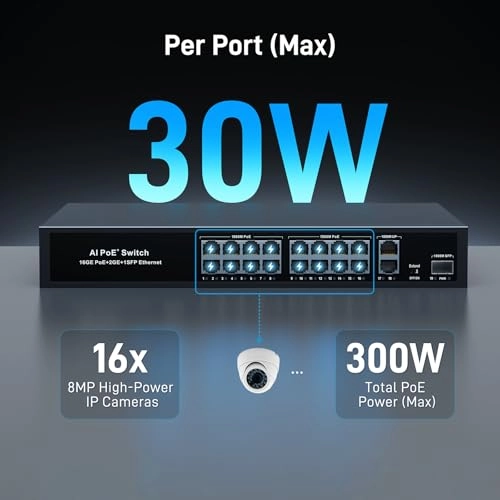 S1621GAP 16-ports