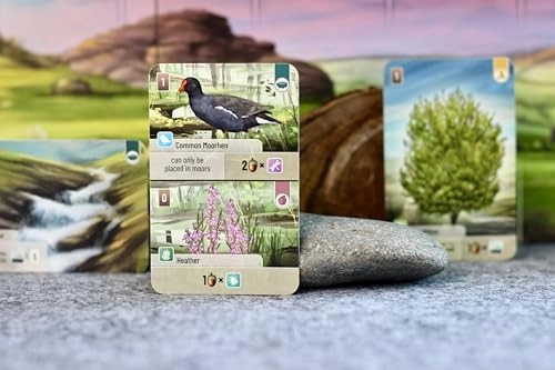 Forest Shuffle: Dartmoor - Card Game