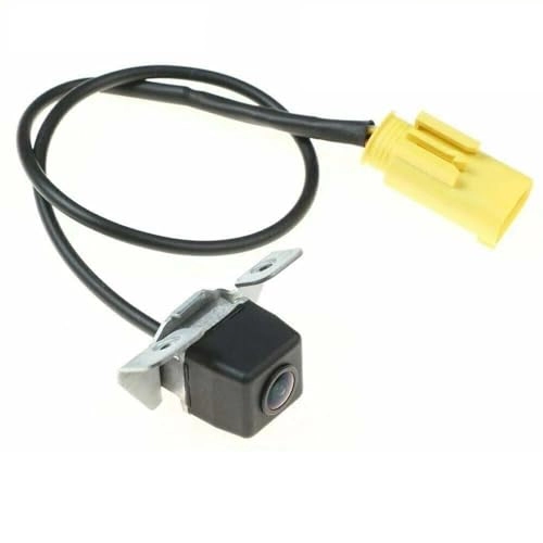 Reversing Camera - Night Vision