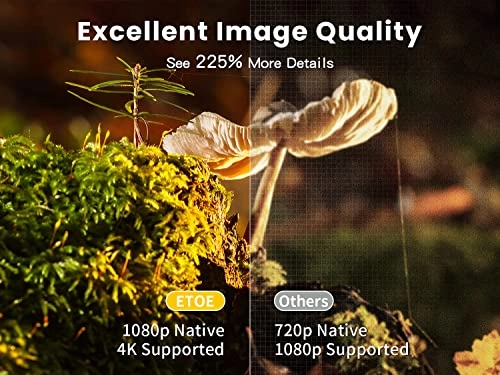 E3 Pro 600 ANSI lumens