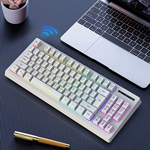 RGB Wireless Mechanical Gaming Keyboard - Wireless