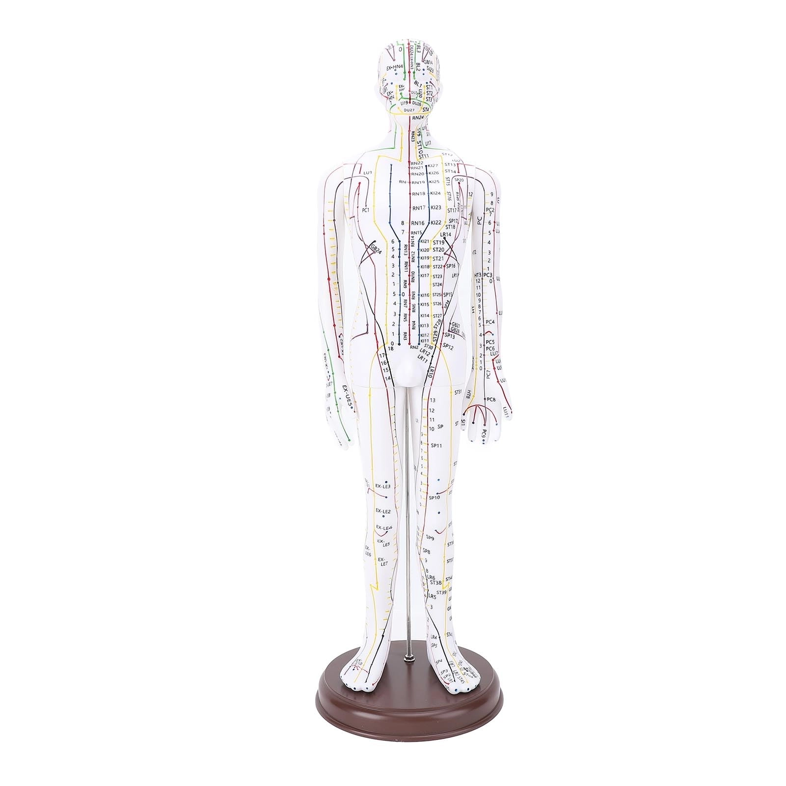 Acupuncture Doll