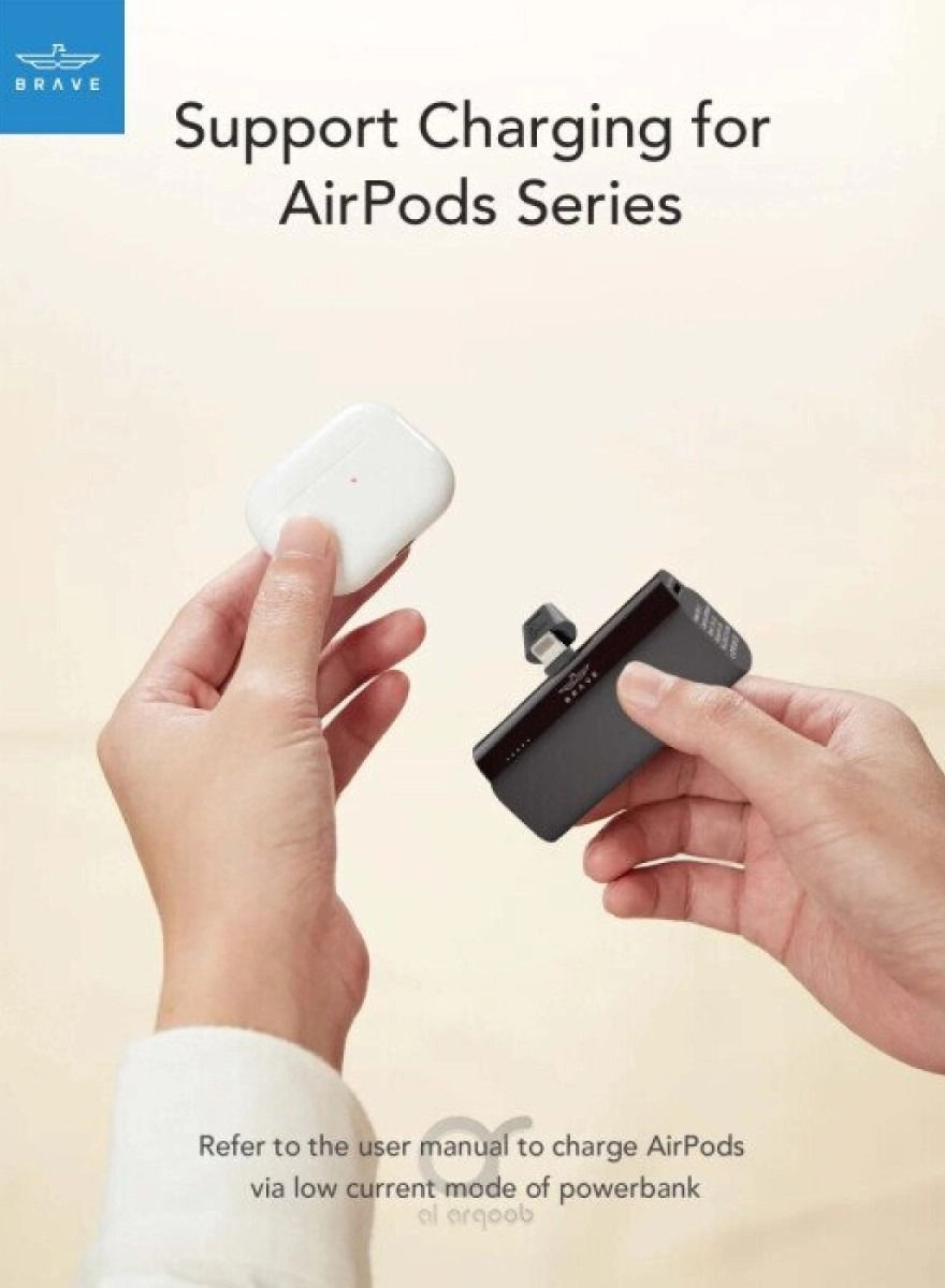 Mini - 5000 Watt-hour 20 Watt