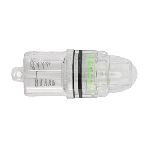 Underwater Fish Light