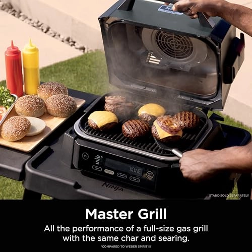 Woodfire Outdoor Grill & Smoker - Electric