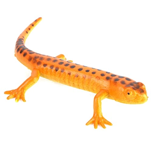 Simulated Lizard - 18 months - 3 years 12Pcs
