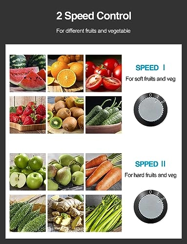 KS-501 - 800W 500 Milliliters