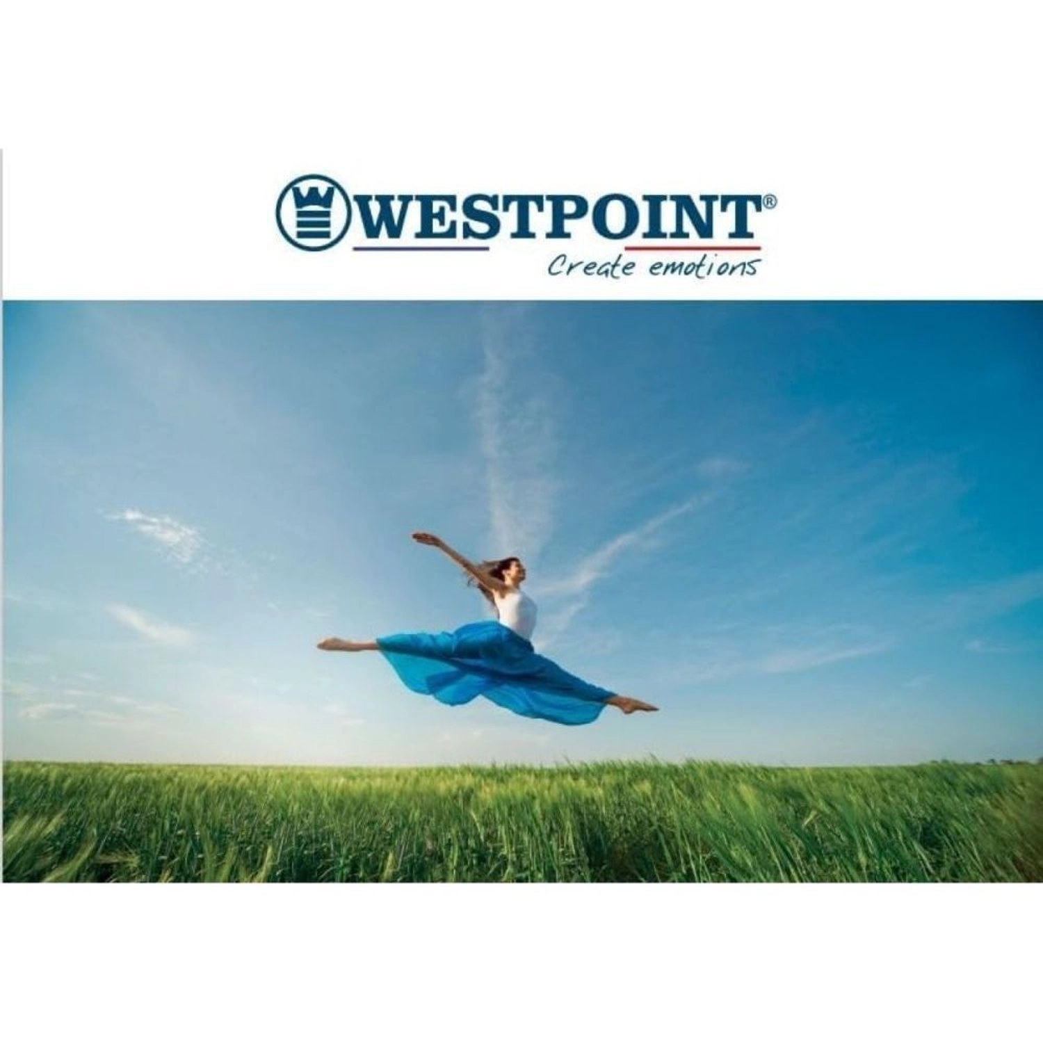 WSN-1223LTYH - 2300W