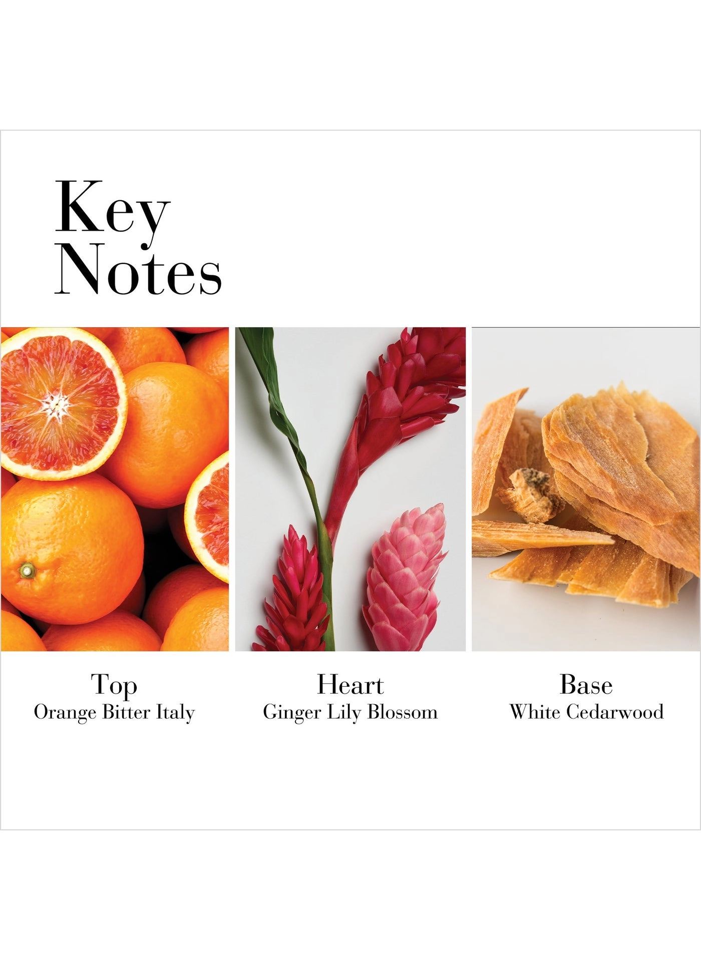 White Tea Ginger Lily Eau de Toilette 100 ml