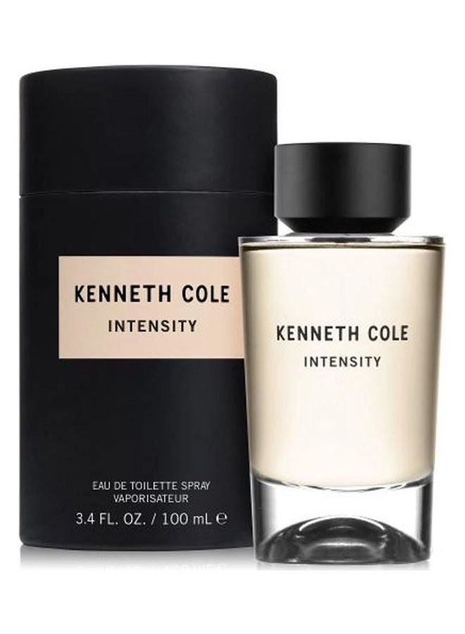 Intensity Eau de Toilette 100 ml