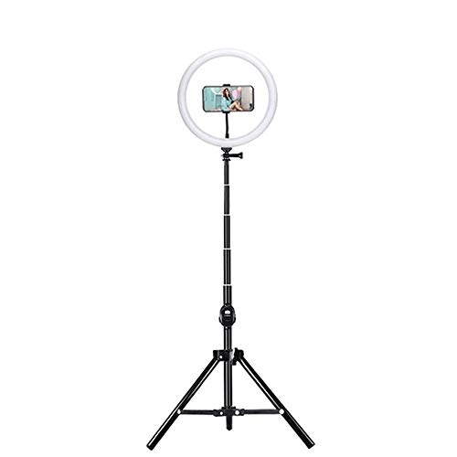 Fill Light - 14 Inch