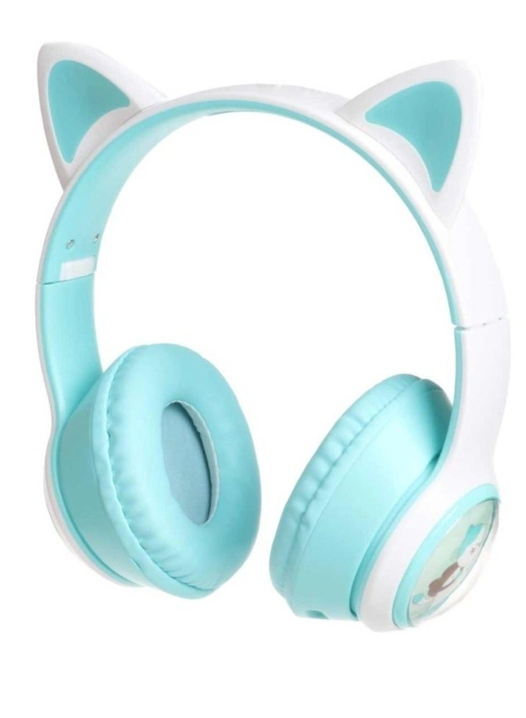AKZ AKZ07B Wireless Headphone