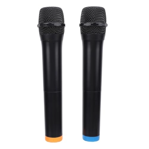 8fl42bxhce - 2 microphones 2.4G