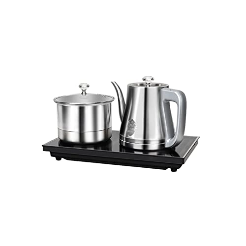 Temperature Control Electric Kettle