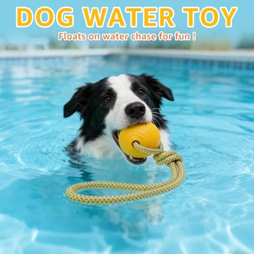 Dog Pool Float