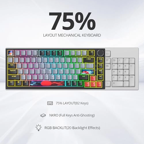 75% TKL Wired Mechanical Keyboard - Wired/Wireless