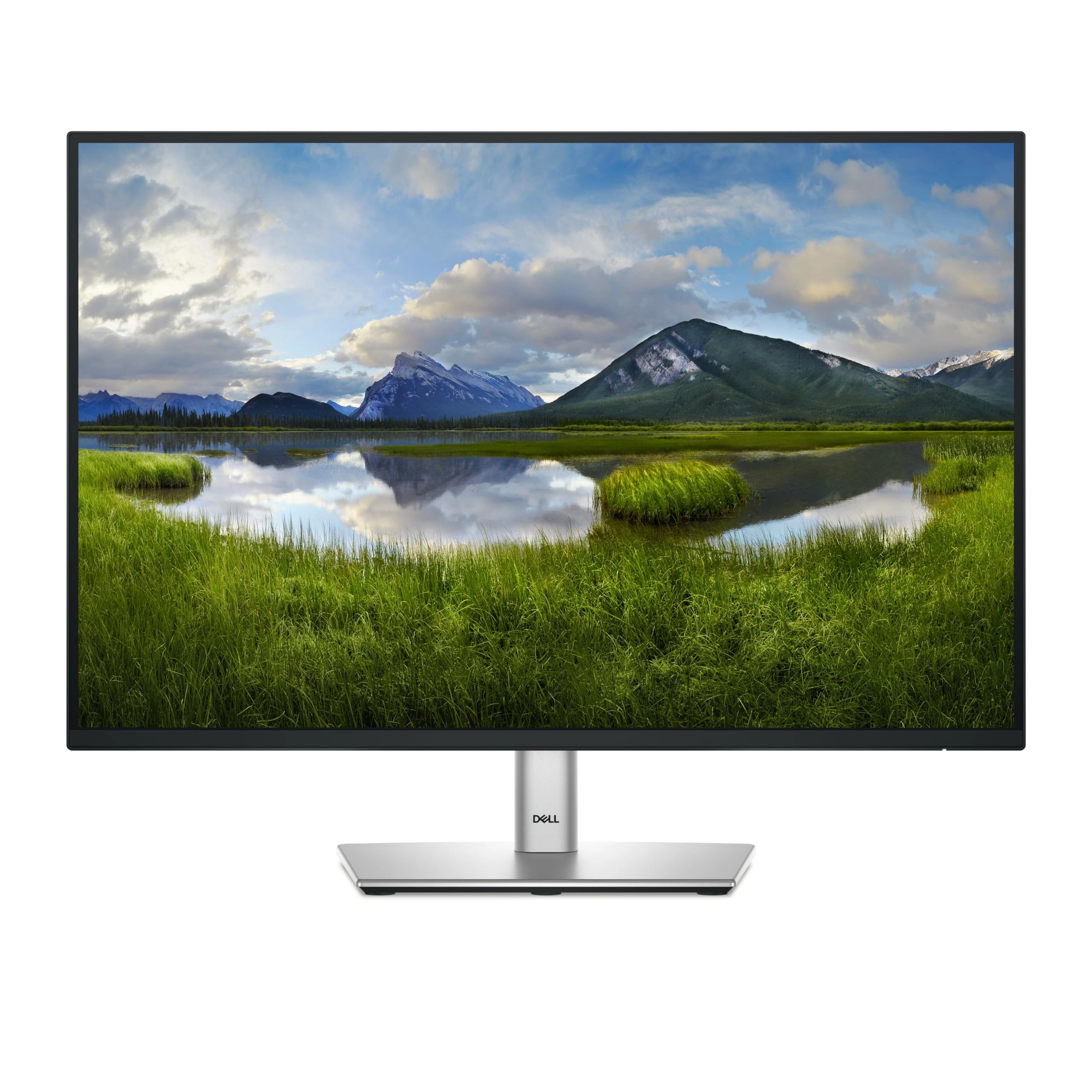 DELL P2425 - 24 inch 1920 X 1200 pixels