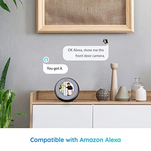 Argus Eco + Solar Panel