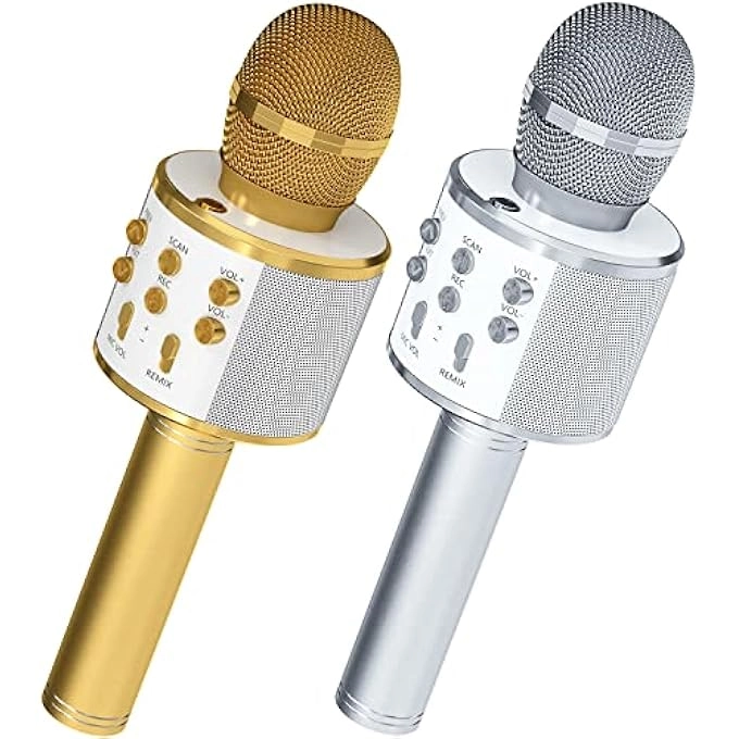 rayihni Karaoke Microphone Pack