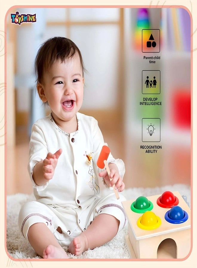 Wooden Ball Hammer Pound Shape Sorter - 5 pieces