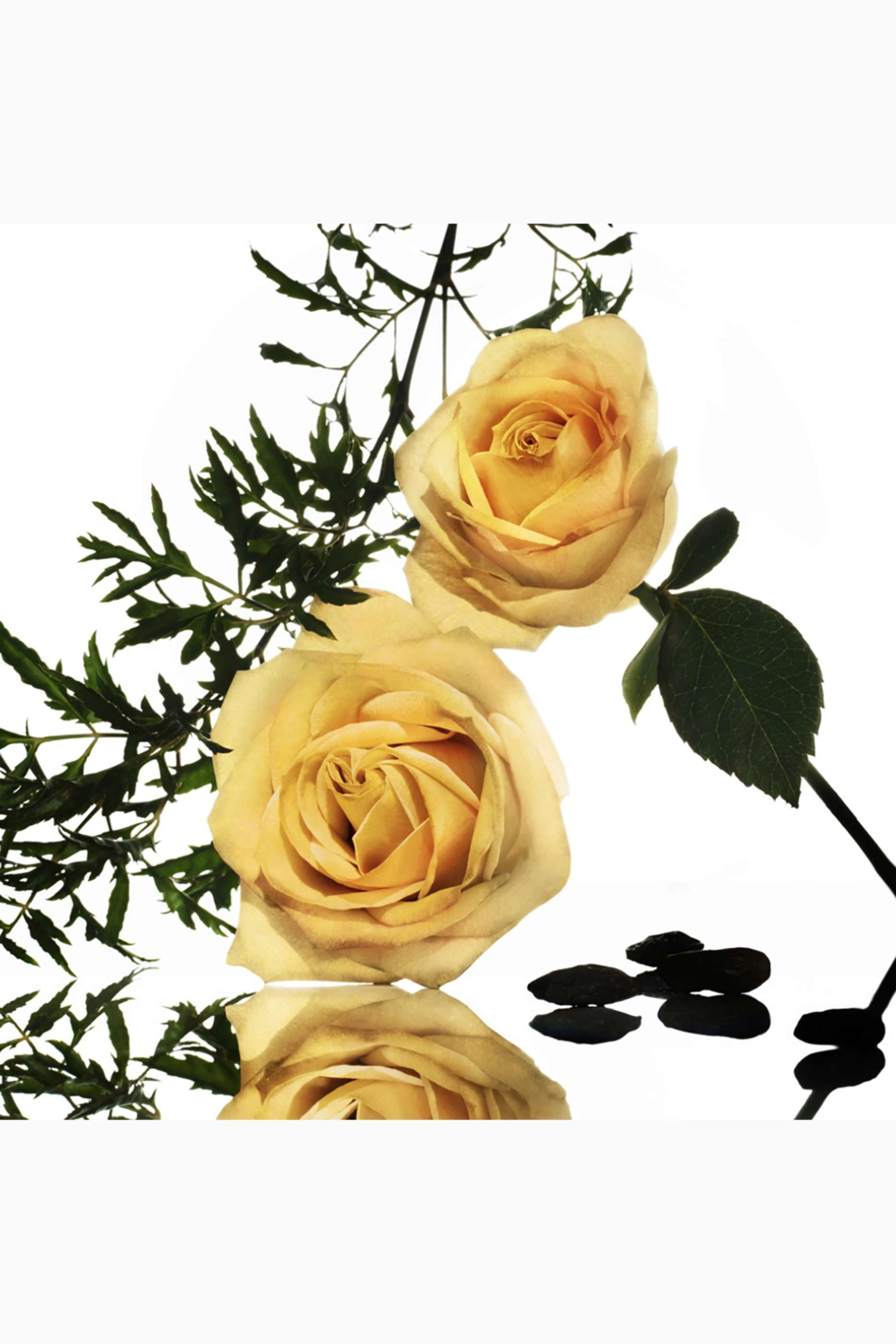 Rose Musc Intense Eau de Parfum 100 ml