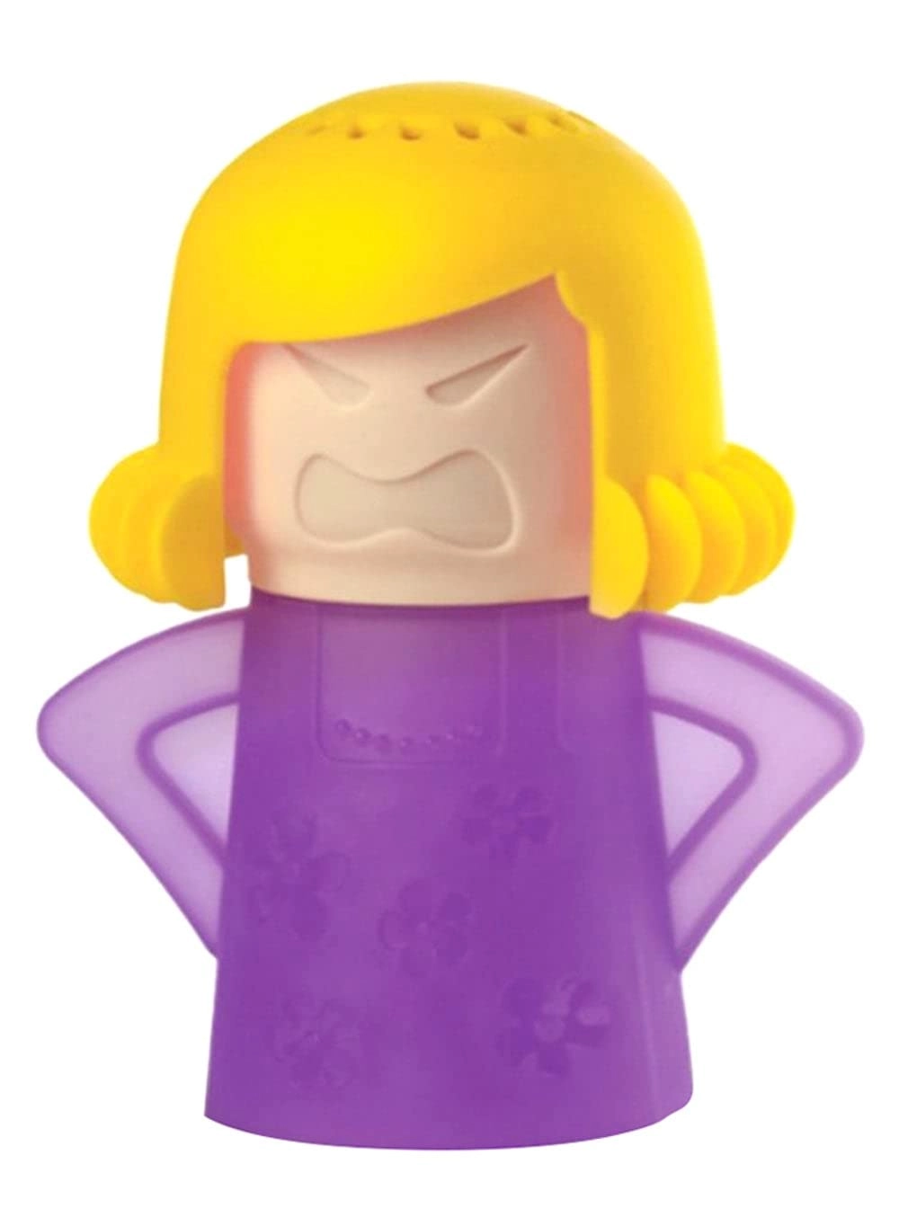 Household Steam Cleaner