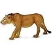 Adolescent Male Lion - Wildlife - 3yr(s) (63.5 cm)