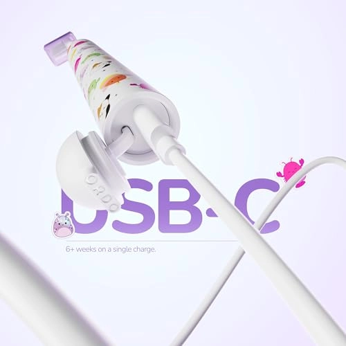 Sonic Edge - USB-C 6+ Weeks Battery