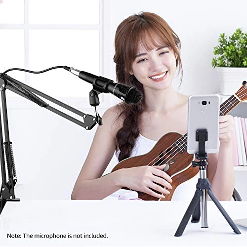 Exble Arm - Microphone Stand Table Clamp 35cm 4000g